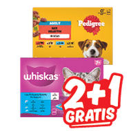 Whiskas of Pedigree