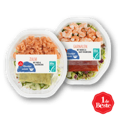 1 de Beste Maaltijdsalade