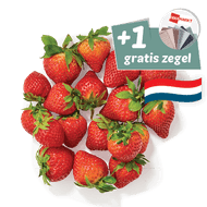Hollandse Aardbeien