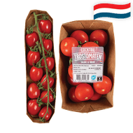 Hollandse Mini Pruimtrostomaatjes of Cocktailtrostomaten