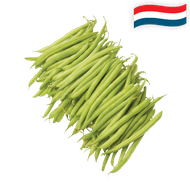 Hollandse Sperziebonen