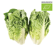 Bio Mini Romaine Sla