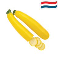 Hollandse Gele Courgette