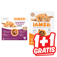 Iams 