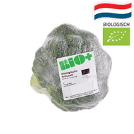 Hollandse Bio+ Broccoli