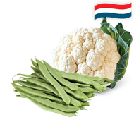 Snijbonen of Hollandse Bloemkool