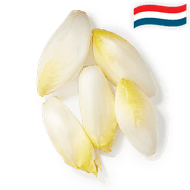 Hollandse Witlof