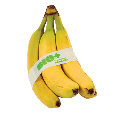 Bio+ Fairtrade Bananen