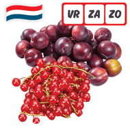 Hollandse Rode Bessen of Pruimen