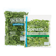 Snijbonen, Sperziebonen, Gewassen Spinazie of Andijvie Fijn
