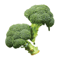 Broccoli  