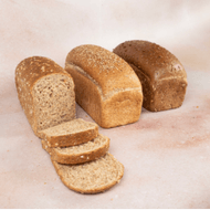 DekaVers Hollander of Tarpan Brood