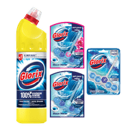 Glorix Bleek of Toiletblok 