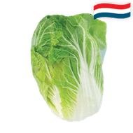 Hollandse Chinese Kool 