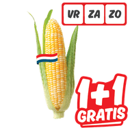 Hollandse Maiskolf