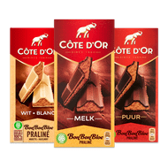 Côte d'Or Bonbonbloc