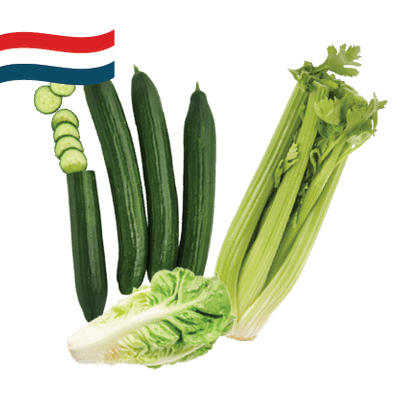 Hollandse Komkommer, Bleekselderij of Mini Romaine Sla