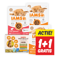 Iams 