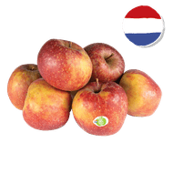 Hollandse Goudreinet Appelen