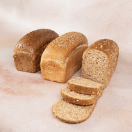 DekaVers Hollander of Tarpan Brood