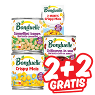 Bonduelle Groente