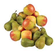 Hollandse Delcorf Appelen of Triumph Peren