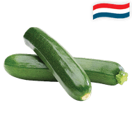 Hollandse Courgette