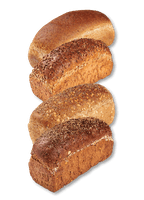 Tarpan Brood