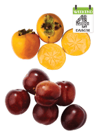 Pruimen of Kaki Fruit.