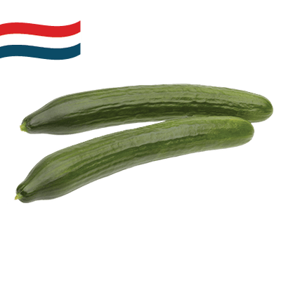 Hollandse Komkommer