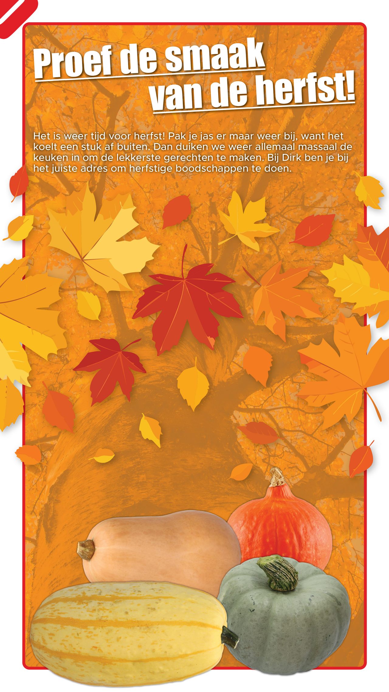 Dirk Folder pagina 4