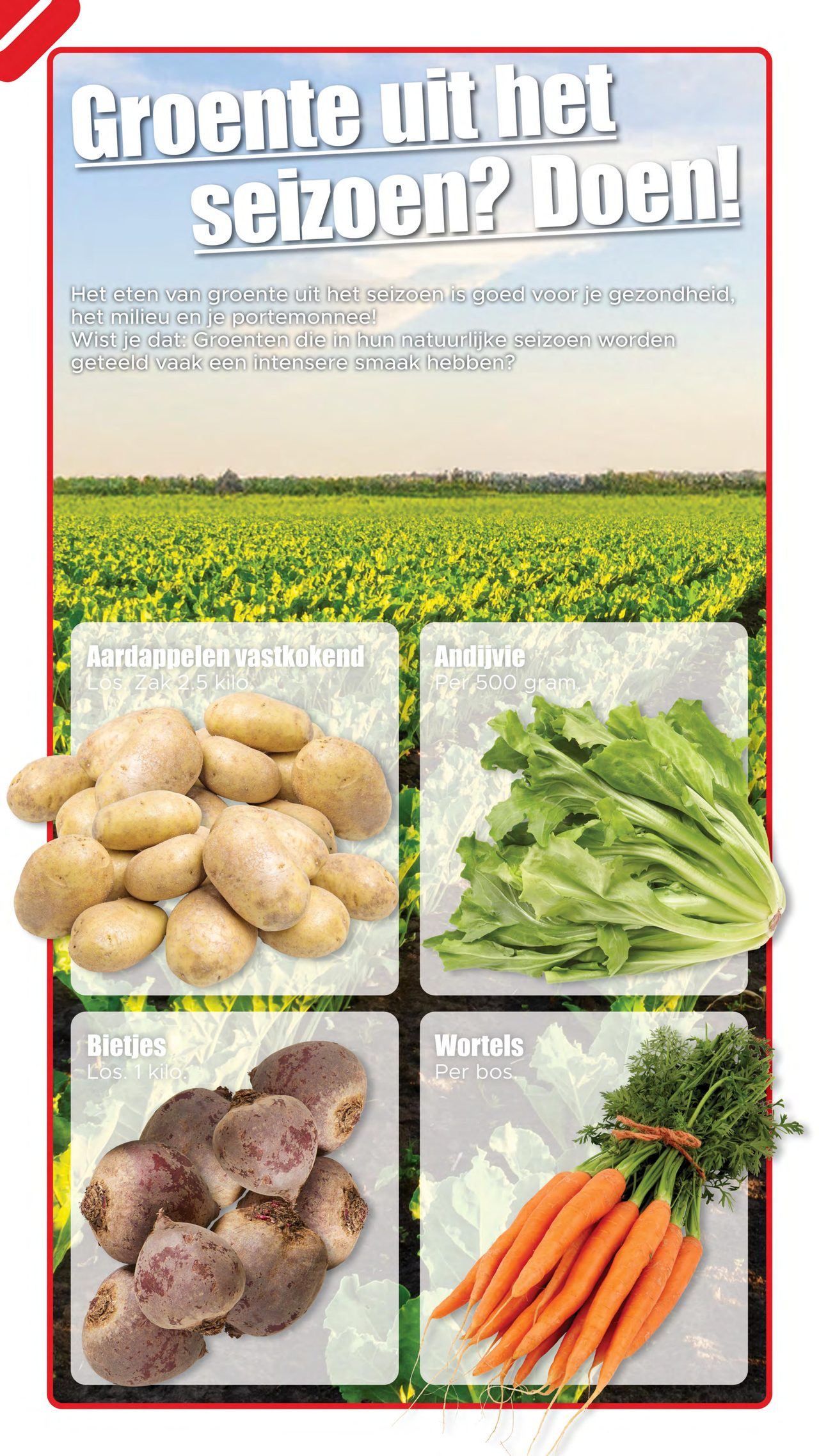 Dirk Folder pagina 21