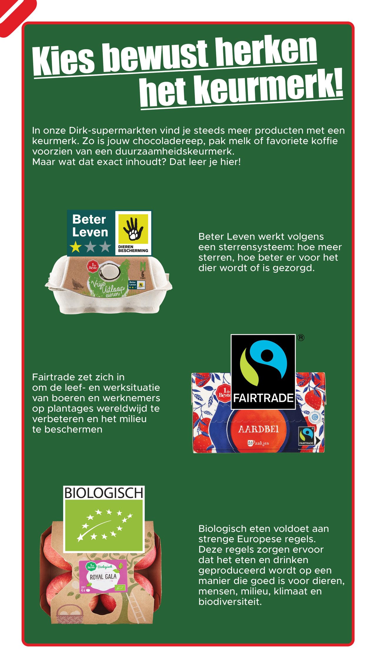 Dirk Folder pagina 8